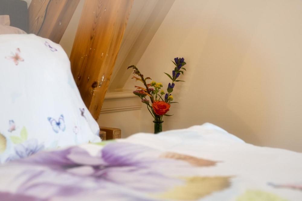 Apartmán Com-In Alkmaar Exteriér fotografie
